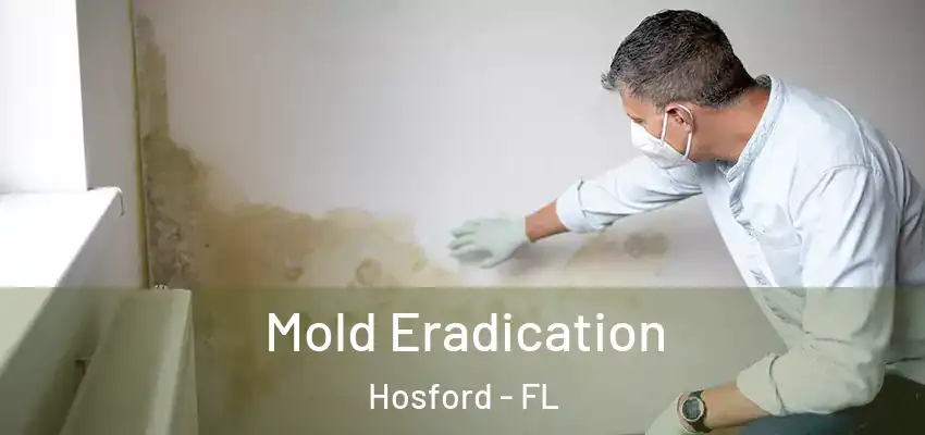 Mold Eradication Hosford - FL