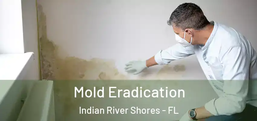 Mold Eradication Indian River Shores - FL