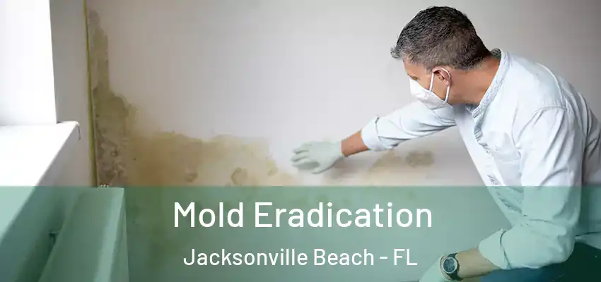 Mold Eradication Jacksonville Beach - FL