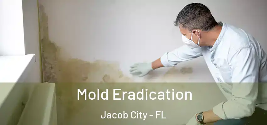 Mold Eradication Jacob City - FL