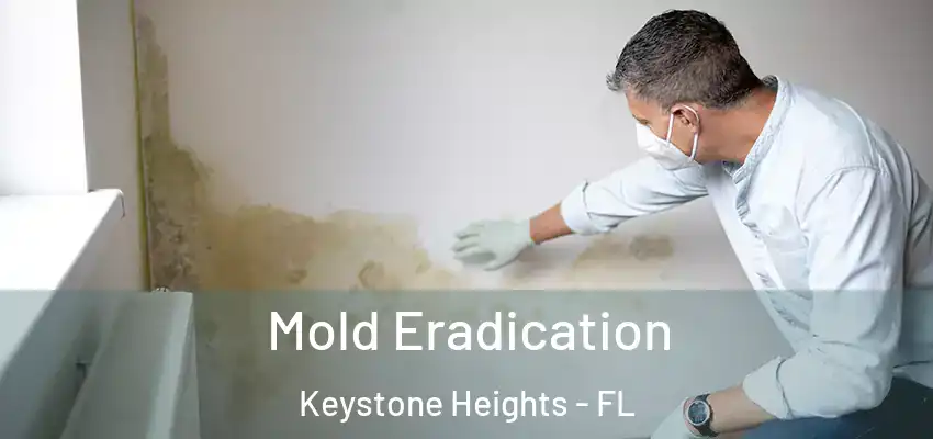  Mold Eradication Keystone Heights - FL