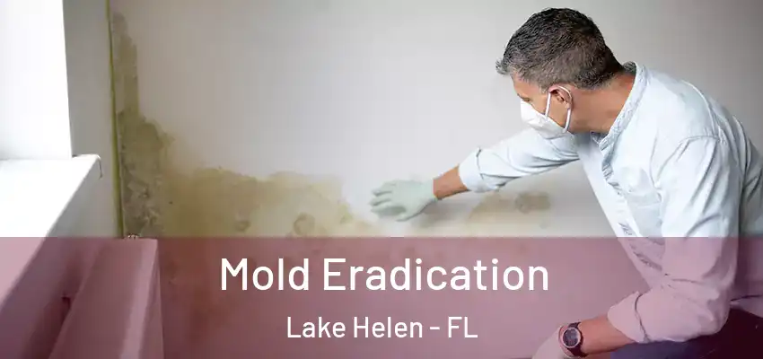 Mold Eradication Lake Helen - FL
