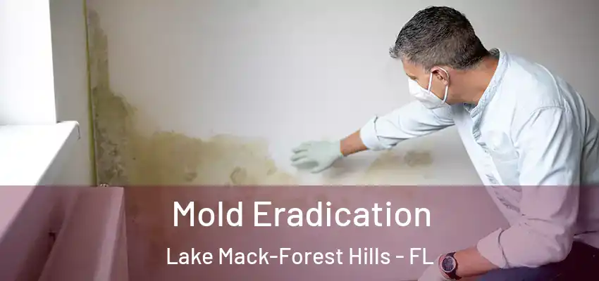 Mold Eradication Lake Mack-Forest Hills - FL