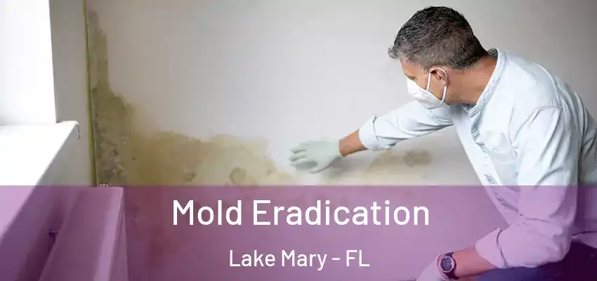 Mold Eradication Lake Mary - FL