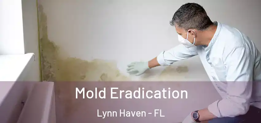 Mold Eradication Lynn Haven - FL