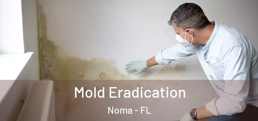  Mold Eradication Noma - FL