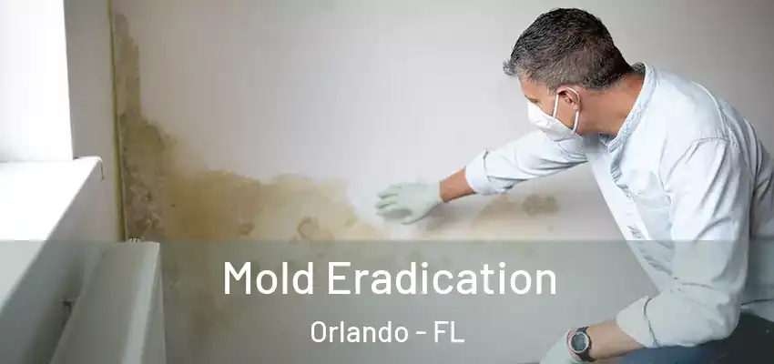 Mold Eradication Orlando - FL