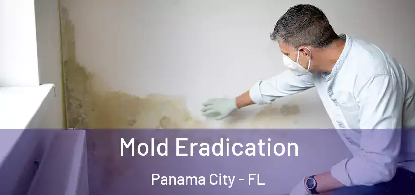 Mold Eradication Panama City - FL