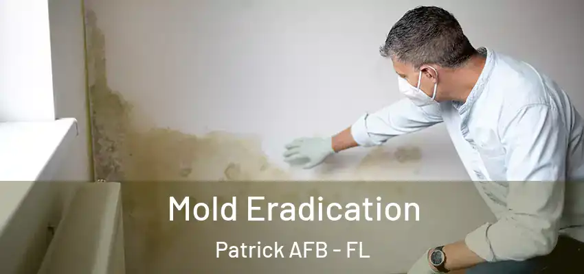  Mold Eradication Patrick AFB - FL
