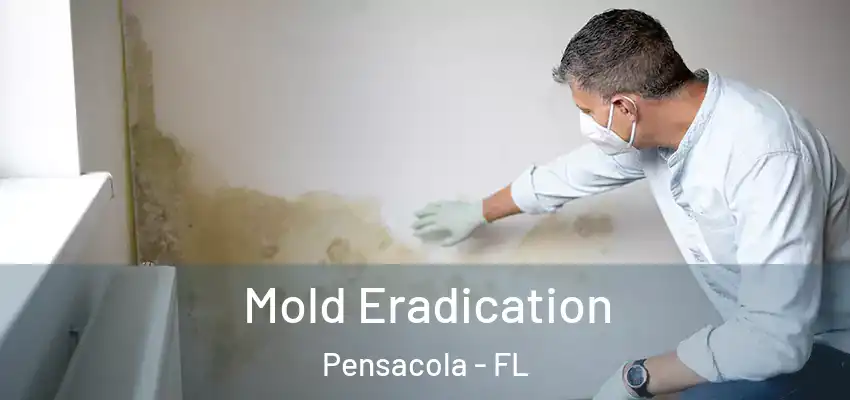 Mold Eradication Pensacola - FL