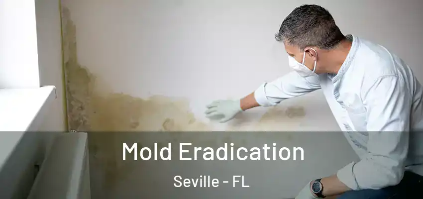  Mold Eradication Seville - FL