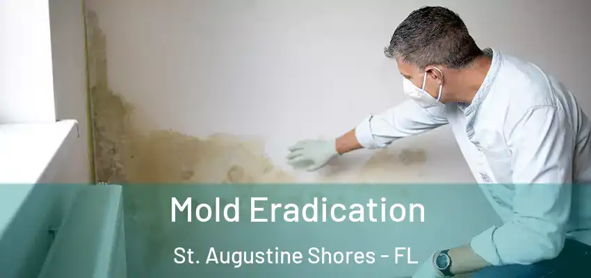  Mold Eradication St. Augustine Shores - FL