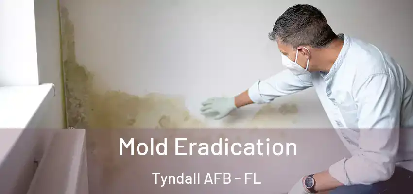  Mold Eradication Tyndall AFB - FL