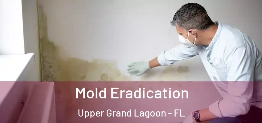Mold Eradication Upper Grand Lagoon - FL