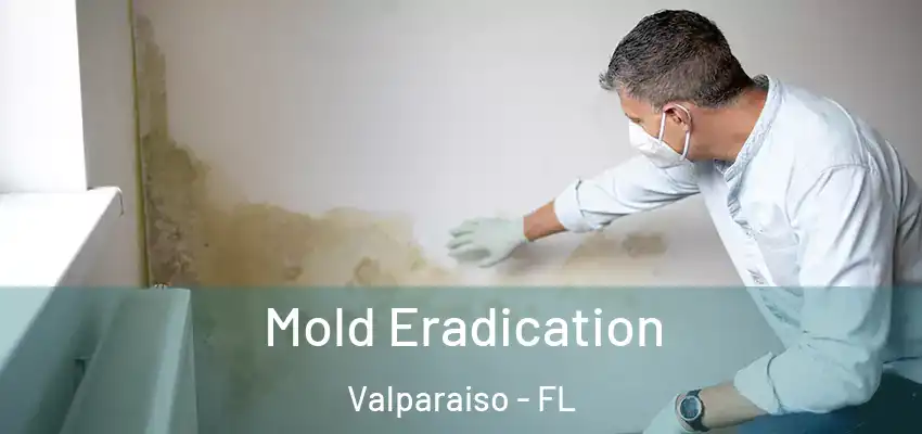  Mold Eradication Valparaiso - FL