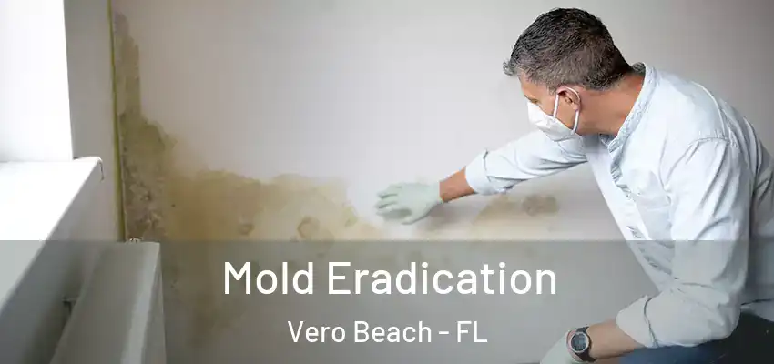  Mold Eradication Vero Beach - FL