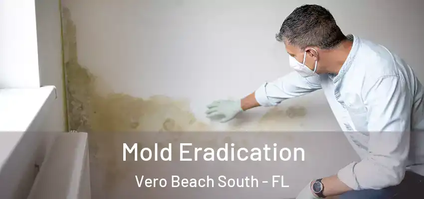  Mold Eradication Vero Beach South - FL