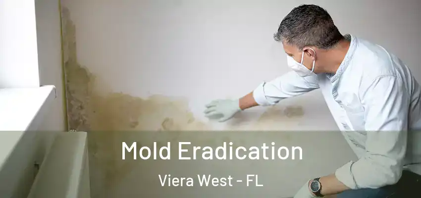  Mold Eradication Viera West - FL