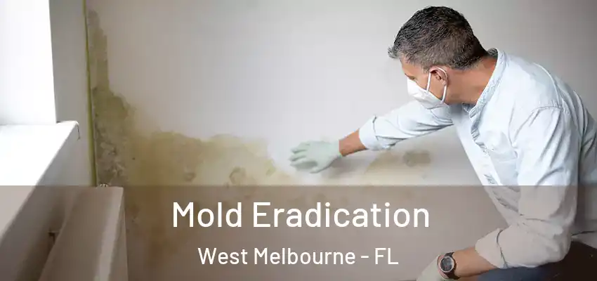  Mold Eradication West Melbourne - FL