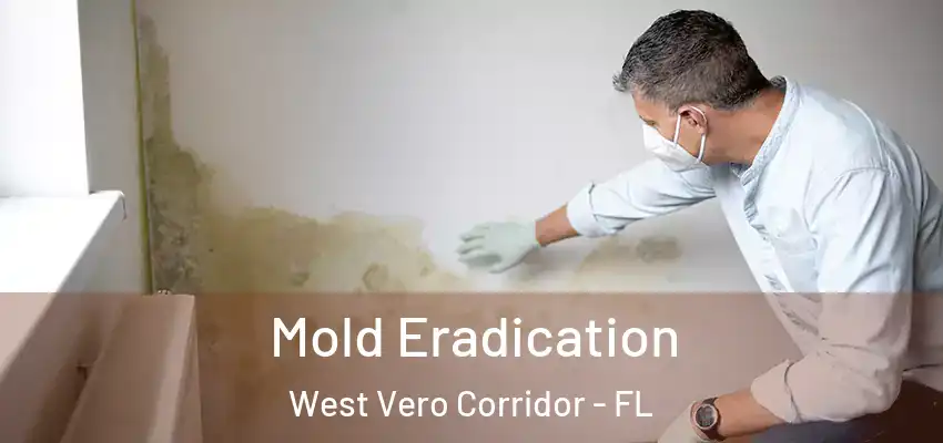  Mold Eradication West Vero Corridor - FL