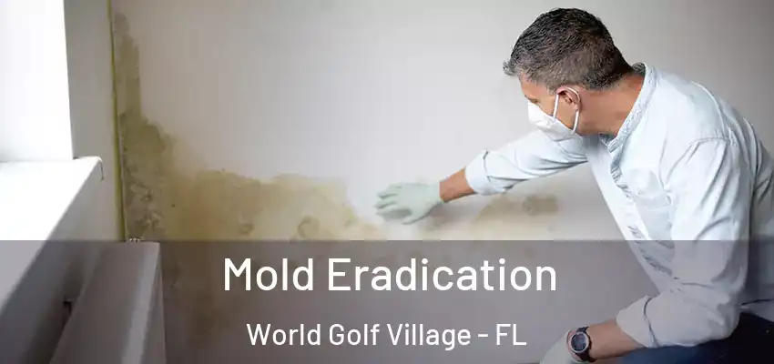  Mold Eradication World Golf Village - FL