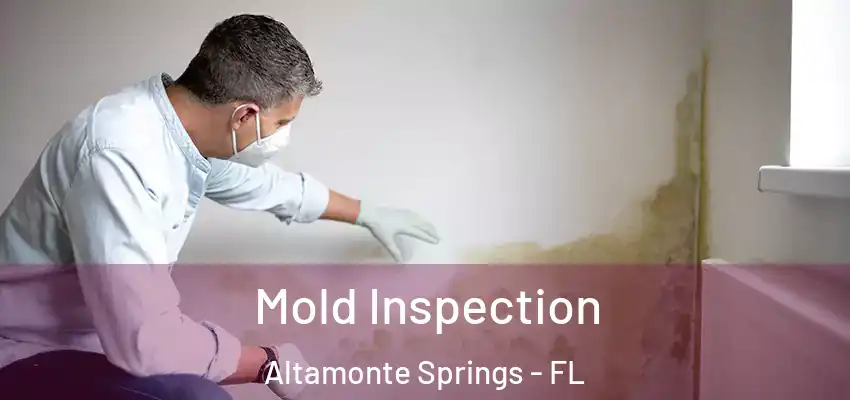  Mold Inspection Altamonte Springs - FL