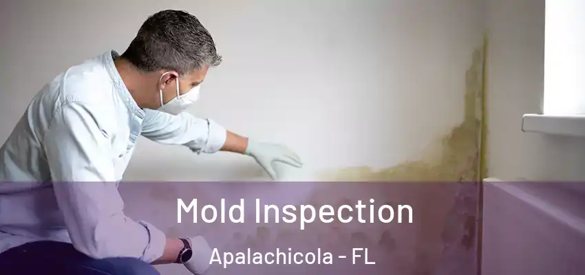  Mold Inspection Apalachicola - FL
