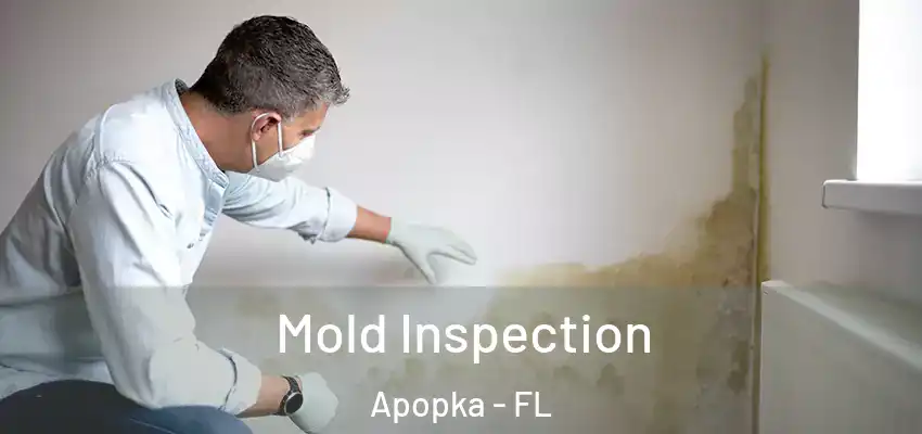  Mold Inspection Apopka - FL