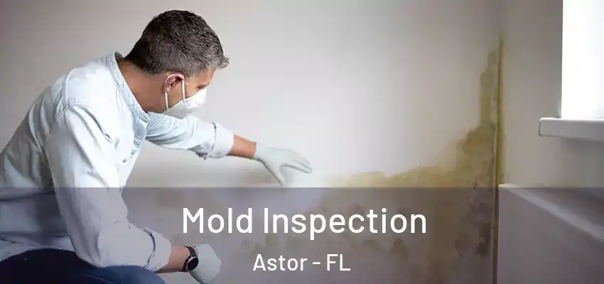  Mold Inspection Astor - FL