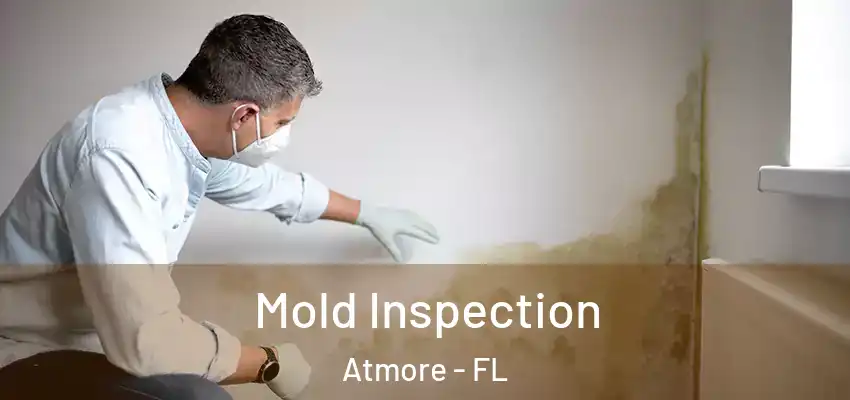  Mold Inspection Atmore - FL