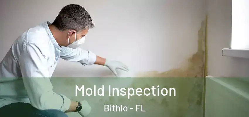  Mold Inspection Bithlo - FL