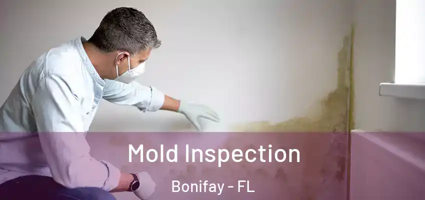 Mold Inspection Bonifay - FL