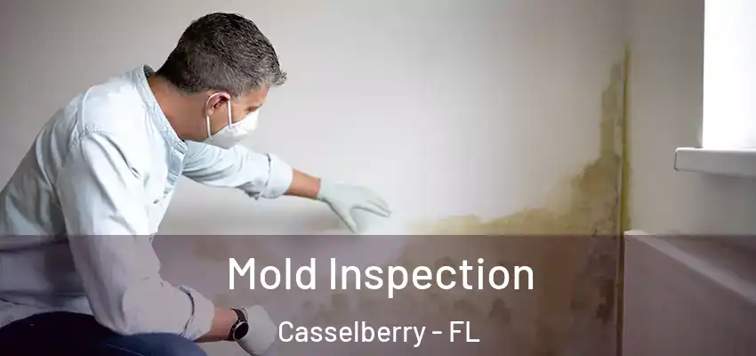 Mold Inspection Casselberry - FL