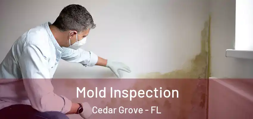  Mold Inspection Cedar Grove - FL