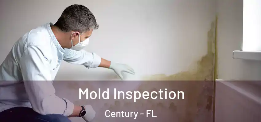  Mold Inspection Century - FL