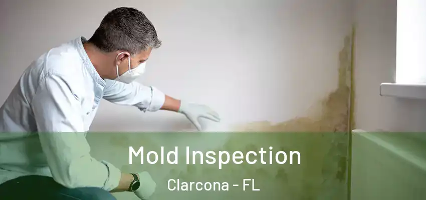 Mold Inspection Clarcona - FL