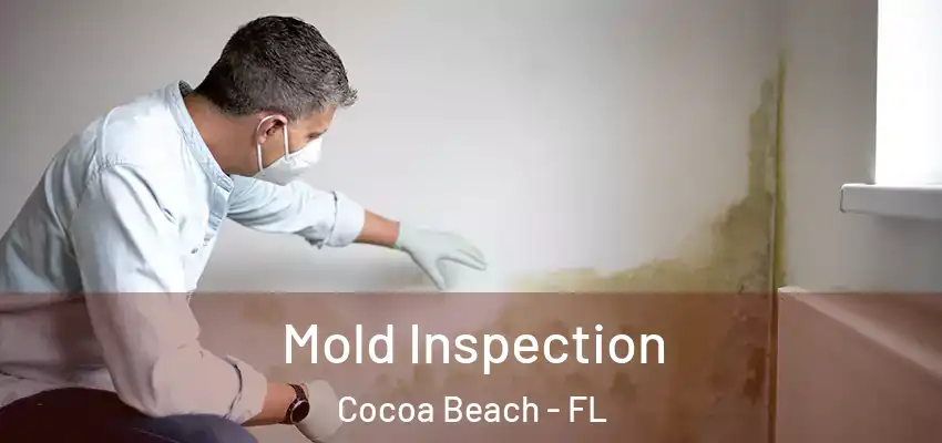  Mold Inspection Cocoa Beach - FL