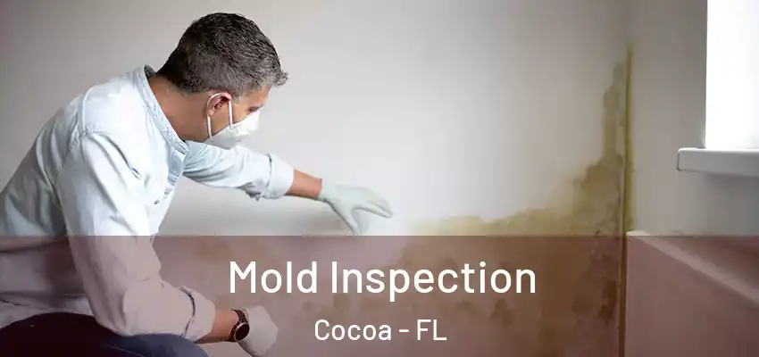 Mold Inspection Cocoa - FL