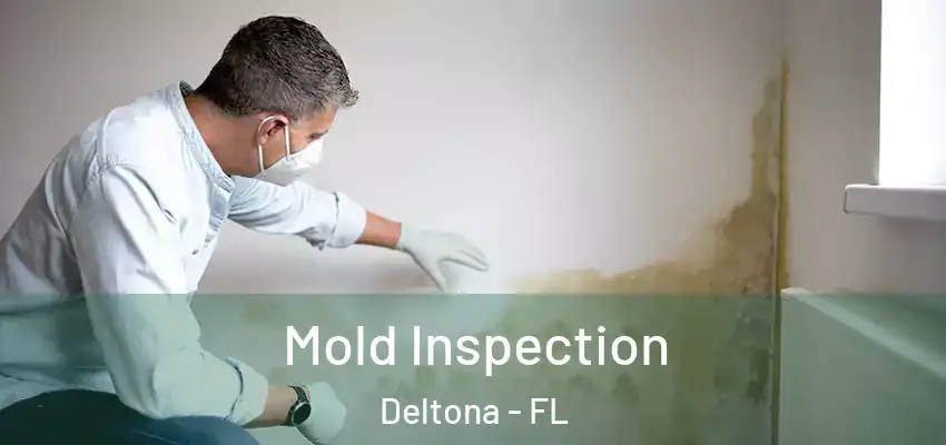 Mold Inspection Deltona - FL