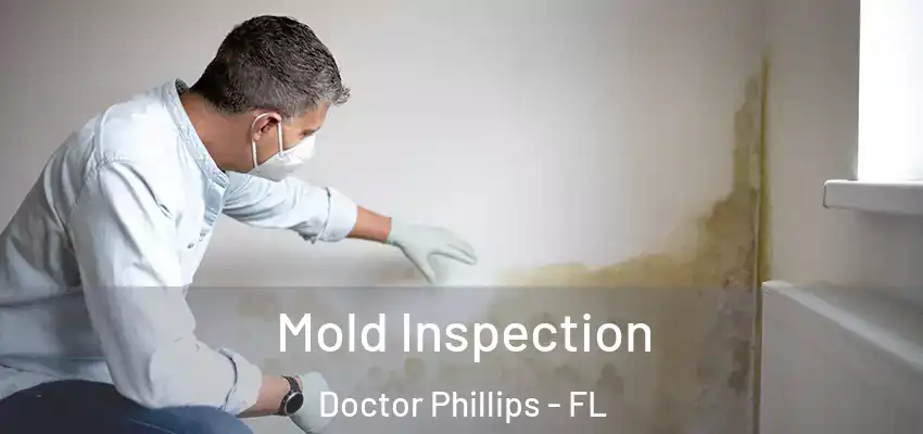  Mold Inspection Doctor Phillips - FL