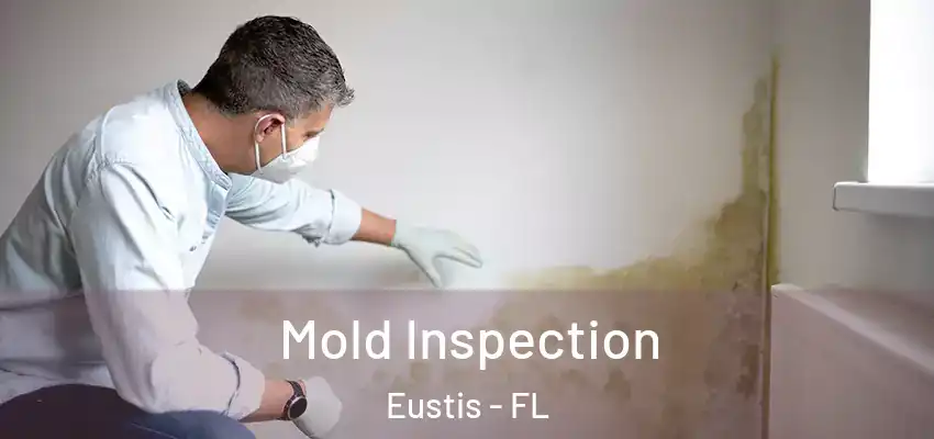 Mold Inspection Eustis - FL