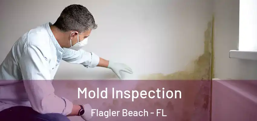  Mold Inspection Flagler Beach - FL