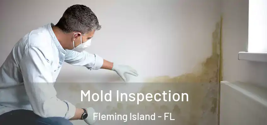 Mold Inspection Fleming Island - FL