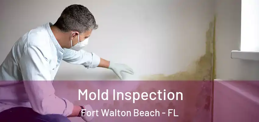 Mold Inspection Fort Walton Beach - FL