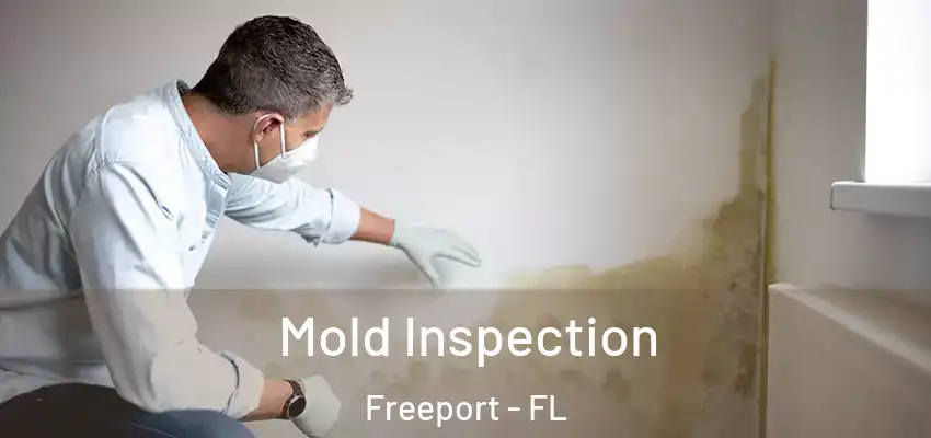  Mold Inspection Freeport - FL