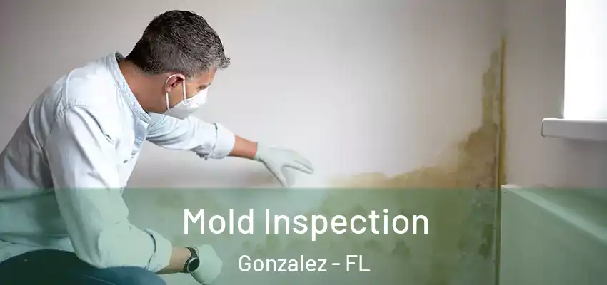  Mold Inspection Gonzalez - FL