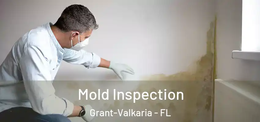 Mold Inspection Grant-Valkaria - FL
