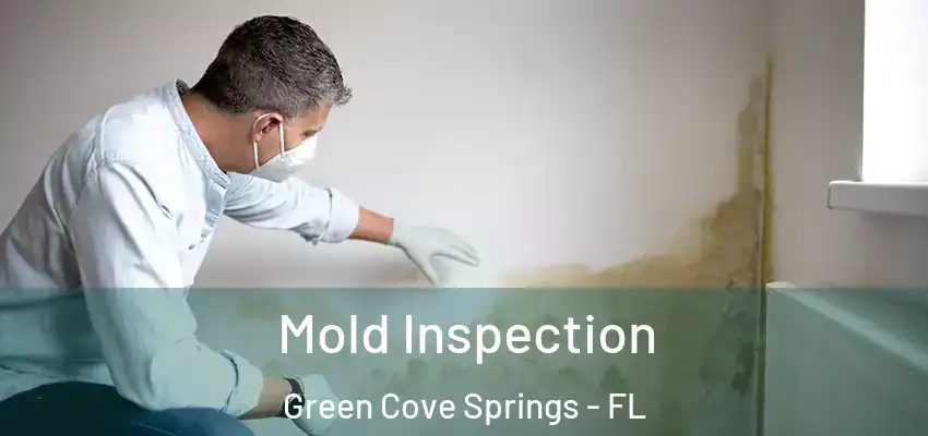 Mold Inspection Green Cove Springs - FL