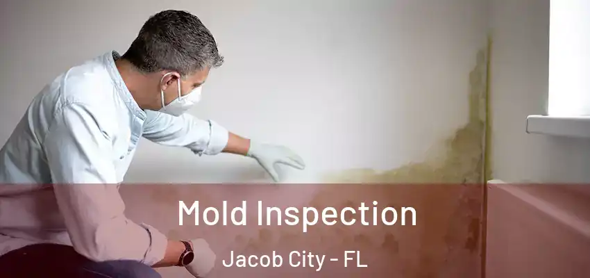 Mold Inspection Jacob City - FL