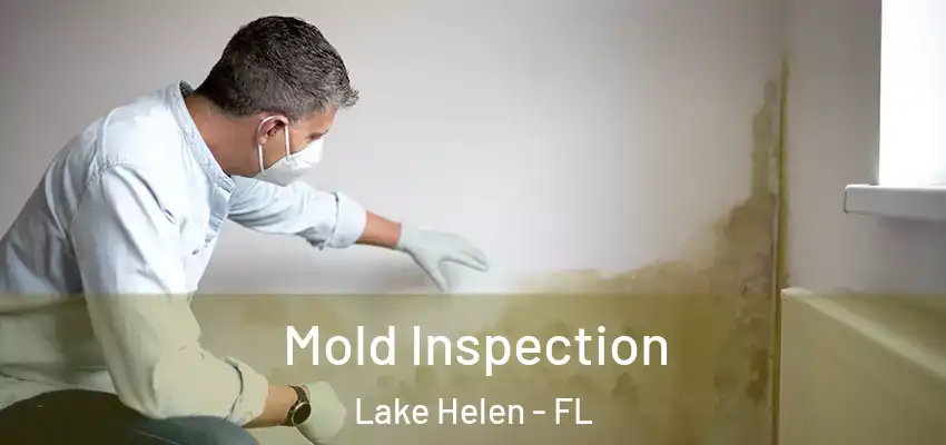 Mold Inspection Lake Helen - FL